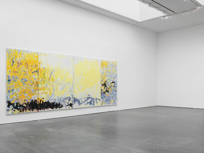 I carry my landscapes around with me. Courtesy of David Zwirner Gallery