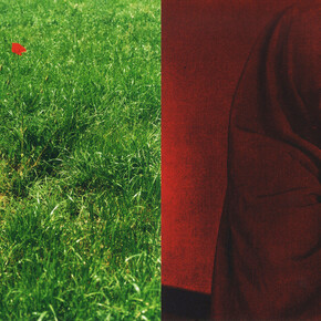 WWWSOY_011, (detail)