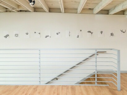 Manifestos, Exhibition view. Courtesy of Ochi Projects