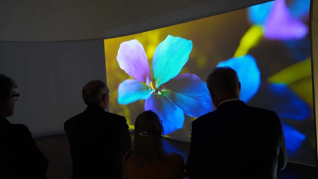 Varios artistas, Laudato sie. Naturaleza y ciencia. La herencia cultural de Fray Francisco, vista de exhibición. Cortesía de Curia Generalizia OFMConv