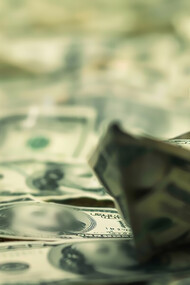 A person with immense wealth, such as a billionaire, can wield significant influence over political systems and policies