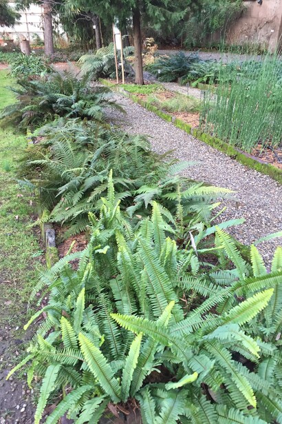 Brera, Orto botanico