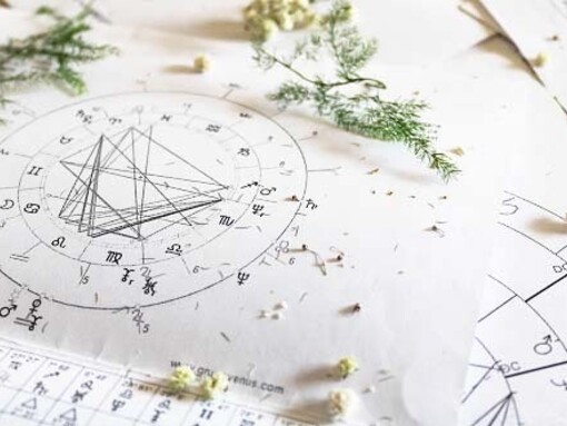 São traçados os mapas de cada vida humana