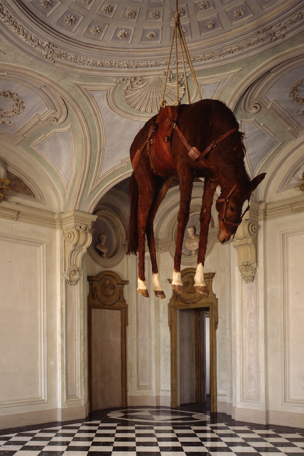 Maurizio Cattelan, Novecento (1900), 1997, cavallo in tassidermia, imbragatura in pelle, corda, 200 x 70 x 270 cm, Castello di Rivoli Museo d’Arte Contemporanea, Rivoli-Torino
