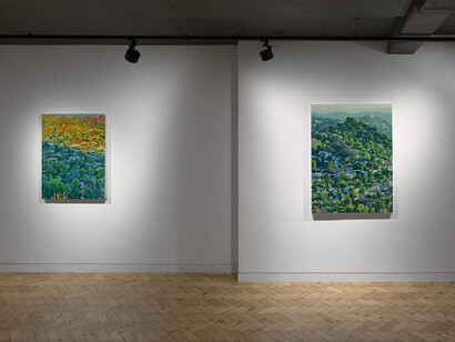 Seth Armstrong, Subrosa, exhibition view. Courtesy of Unit Gallery