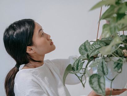 A woman in a white long-sleeve shirt hangs a houseplant, evoking mental minimalism and the quiet discipline of simplicity