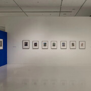 FN Souza, Drawings and chemical alterations, exhibition view. Courtesy of Emami Art