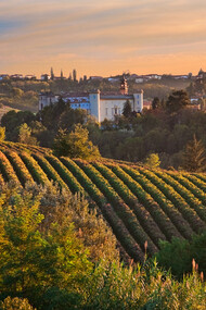 The Langhe landscape