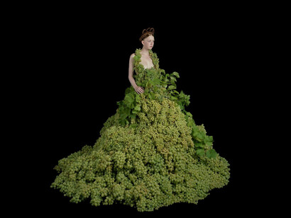 Nathalia Edenmont, Fruition, 2016. Courtesy of Nancy Hoffman Gallery