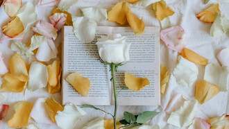 El erotismo en la poesía forma parte de la literatura de diversas culturas. En Costa Rica, destaca la obra de Eunice Odio