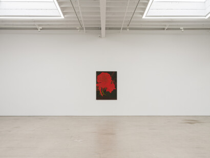 Randy Wray, Hothouse, exhibition view. Courtesy of Karma Gallery