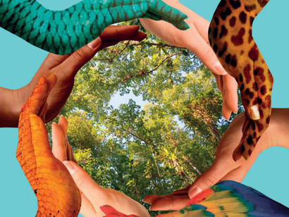 Biodiversità