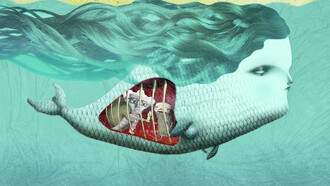 Eleonora Busi, Pinocchio e la balena