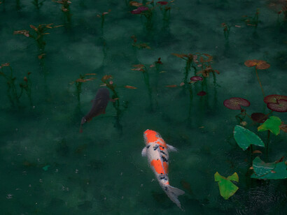 Un’ottima forma fisica per i Pesci