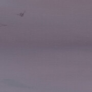 Paul P., Untitled, 2020. Courtesy of Galleria Massimo Minini 