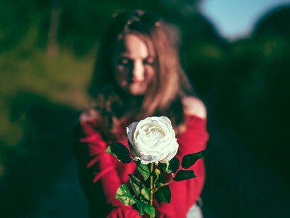 Uma rosa para presentear
