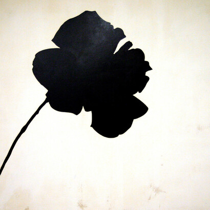 «Rosa nera» (1966), Jannis Kounellis