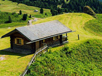 The lush surroundings invite seekers to pause and ponder, making the cabin a sanctuary for those on a journey of self-discovery and growth