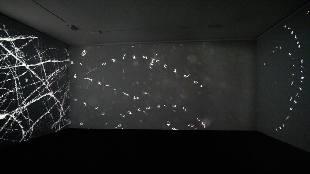 La India Contaminada. Courtesy of Lehmann Maupin