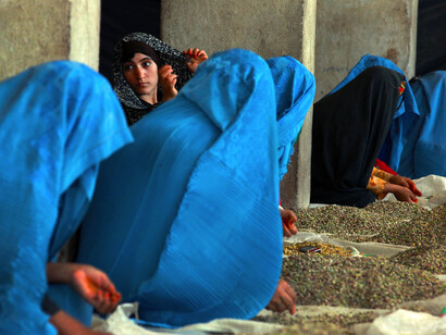 Women sorting pistachios by hand at a privately owned factory in Herat, Afghanistan