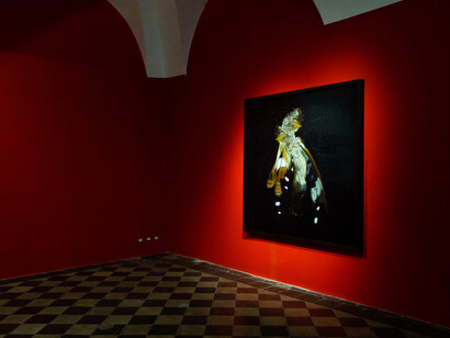Installation view, Mat Collishaw, 1/9unosunove, Photo: Valerio Iacobini, Courtesy 1/9unosunove”  