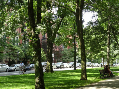 Commonwealth Avenue in Boston