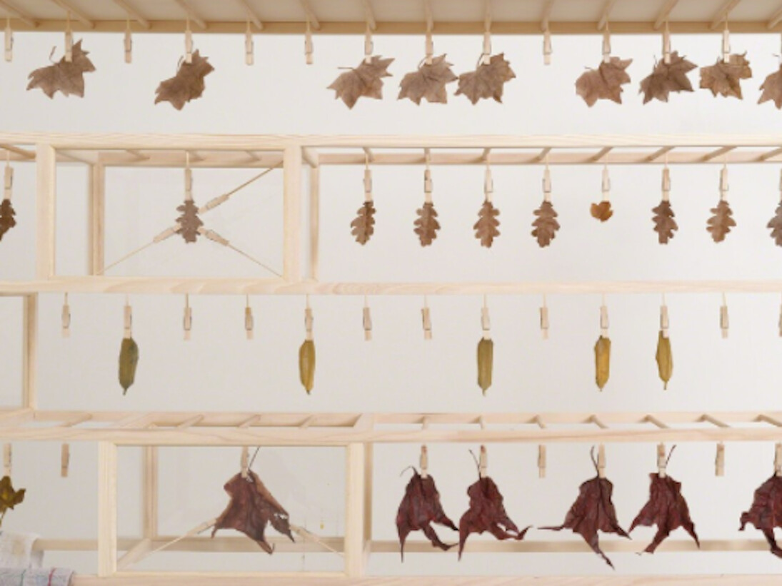 Taro Izumi. Courtesy Galerie GP & N Vallois, Paris