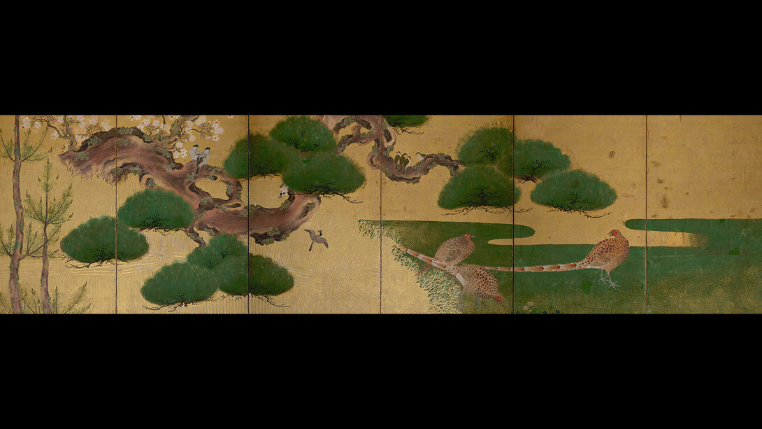 A fleeting bloom. Courtesy of Queensland Art Gallery