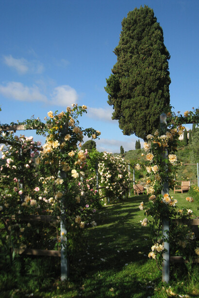 Fioritura