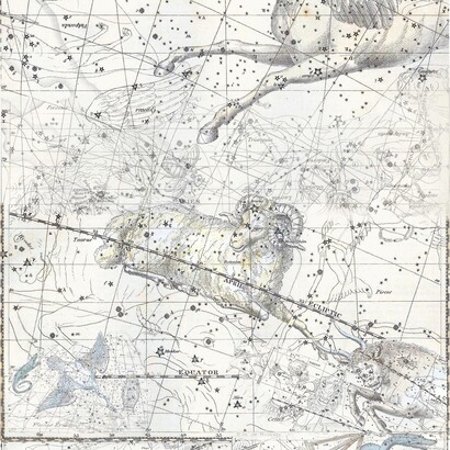 Cecilia Paredes
Equus, 2019
Digital engraving on Hahnemuhle
acid-free paper
34 x 25"
86.4 x 63.5 cm
1 / 3 (detail)