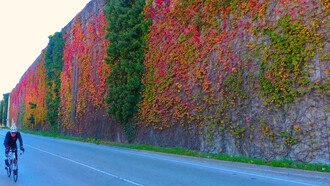 Muro en el camino de Can Aymerich, Castelldefels, Barcelona, España. Foto: Felipe Sérvulo