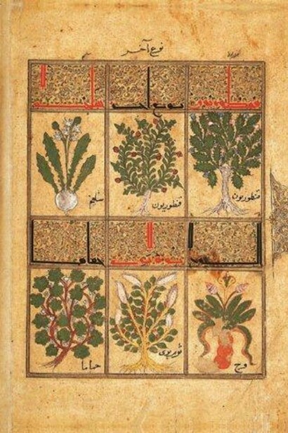 Pages of the facsimile Kitâb al-Diryâq