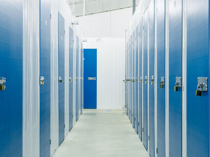 Where Things Live. Courtesy of Musa Museum