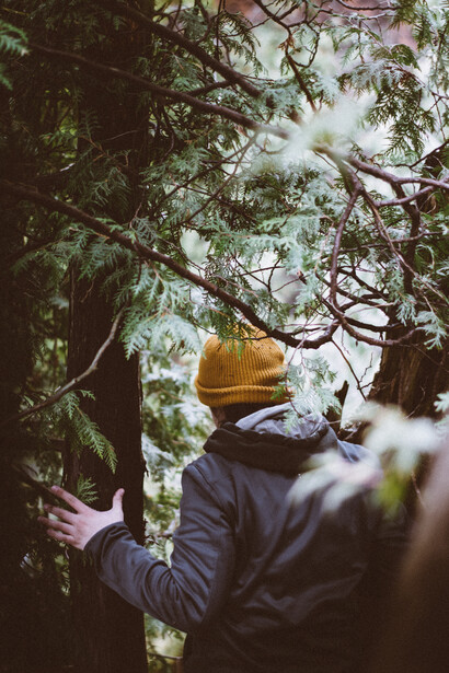 Meditazione nel bosco