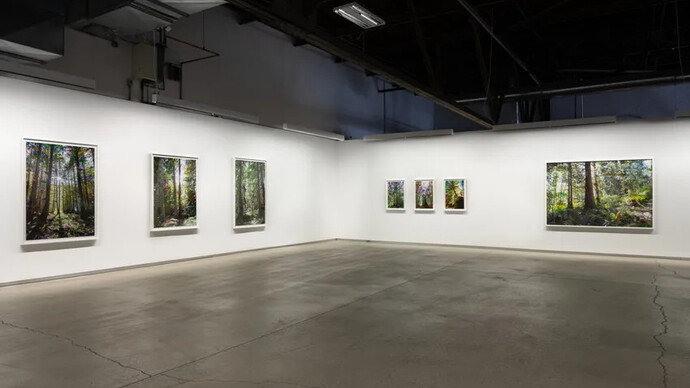 Sarah Anne Johnson, A mountain and a forest, vue de l'exposition. Avec l'aimable autorisation de la Blouin Division 