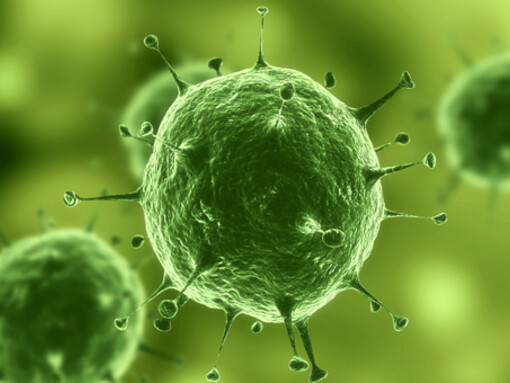 Cellule al microscopio