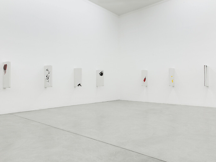 Buongiorno Signor Courbet, exhibition view