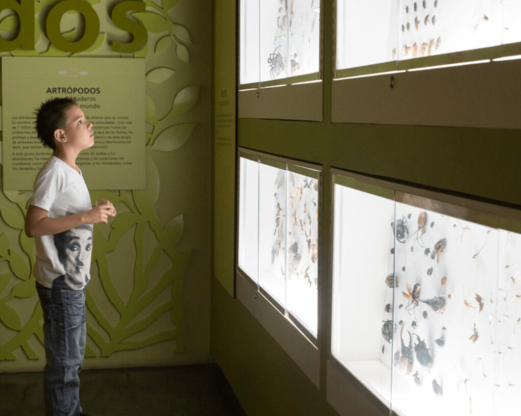 Colombia, país de agua. Courtesy of Parque Explora