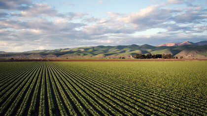 La Fiera dell'Agricoltura del 2024 ha aperto le porte per presentare le ultime innovazioni nel settore agrotecnico