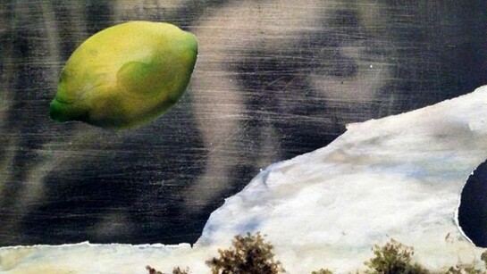 Mattia Barbieri, Madonna tutti i Frutti,  (dettaglio) Olio e spray su tavola, 45,5 x 58, 5 cm