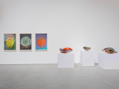 Dale Chihuly, Chihuly: four decades of iconic work, exhibition view. Courtesy of Leila Heller Gallery 