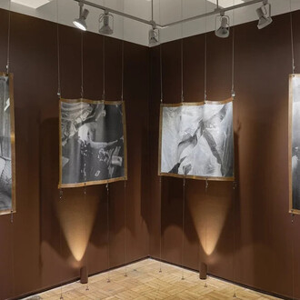 Mae Howard, Between the skin and flesh, a thing, exhibition view. Courtesy of A.I.R. Gallery