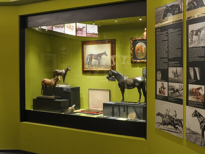 The Horse. Courtesy of Museum and Library of Hungarian Agriculture