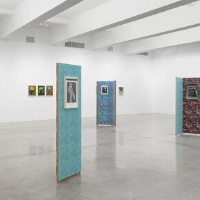 Lisa Oppenheim, Ourselves and the expression of ourselves, exhibition view. Courtesy of Tanya Bonakdar Gallery
