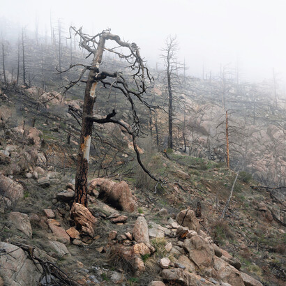 Wildfires are burning out of control everywhere