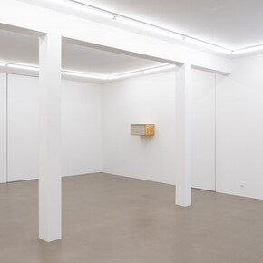 Henrik Håkansson, An ideal for living (The insect societies, prototype), exhibition view. Courtesy of Meyer Riegger Gallery