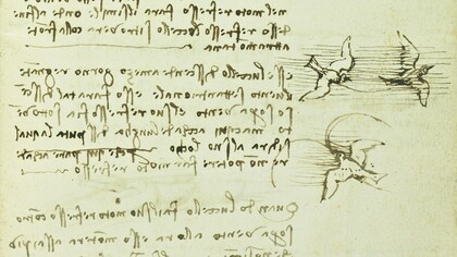 Leonardo da Vinci, Codice sul volo degli uccelli, 1505. Pagina 6, recto, dettaglio