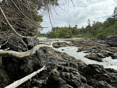 Tofino’s rocky coast reflects Vancouver Island’s wild, enduring beauty — shaped by time, tide, and deep cultural roots