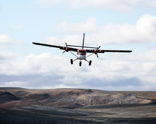 Canada Goose Arctic Gallery. Courtesy of Canadian Museum of Nature