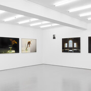 Daniel Blaufuks, (Ainda) à espera de Godot, vista da exposição. Cortesia da Galeria Vera Cortês